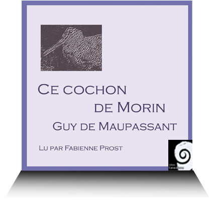 livre audio Ce cochon de Morin